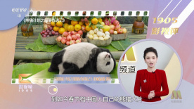 少妇让我进她身体
